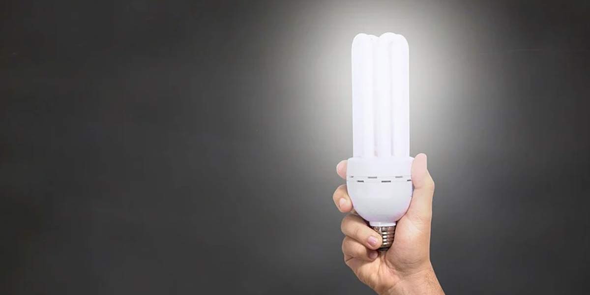 Oportunidades de negocios